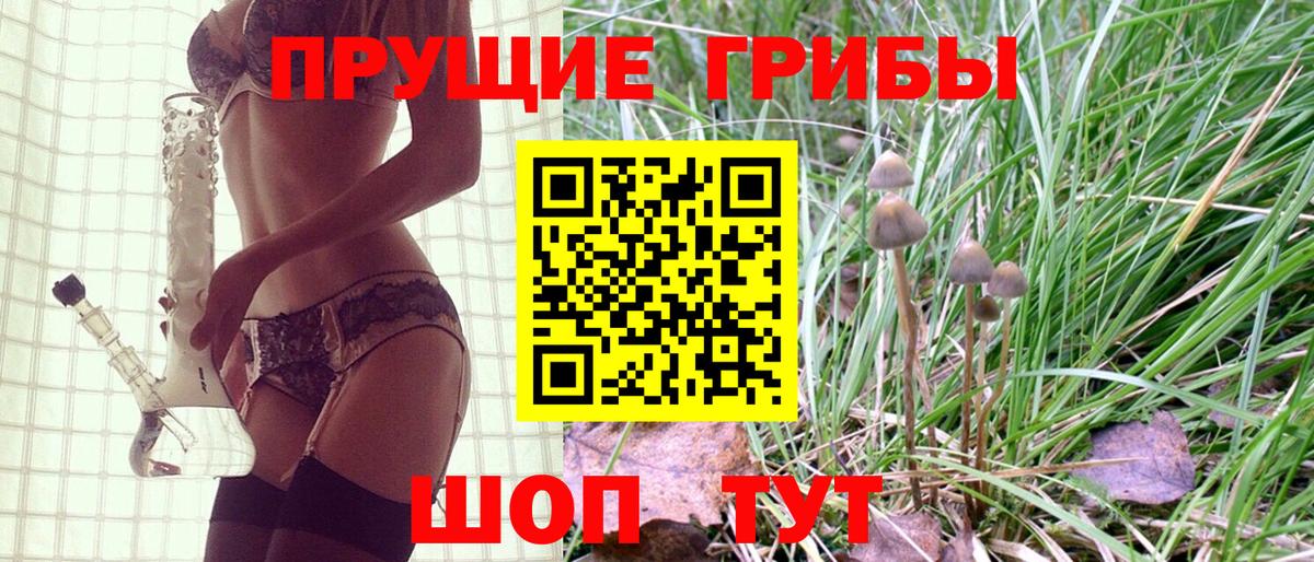 Псилоцибиновые грибы мухоморы Ступино
